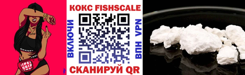 Купить где  Данилов  COCAIN Эквадор 