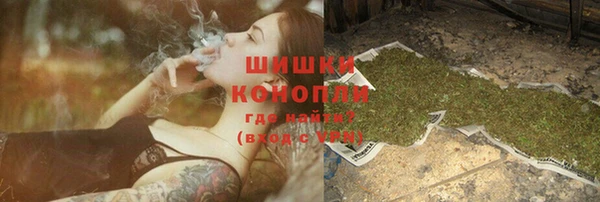 сатива Горно-Алтайск