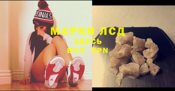 индика Горняк