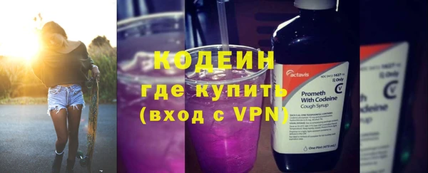индика Горняк