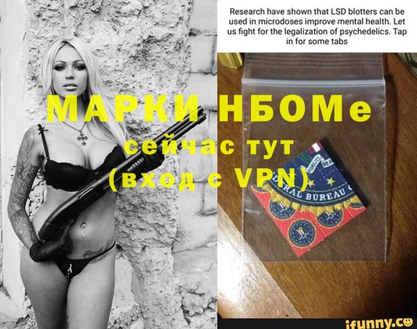 индика Горняк