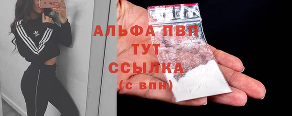 сатива Горно-Алтайск