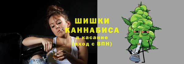 индика Горняк
