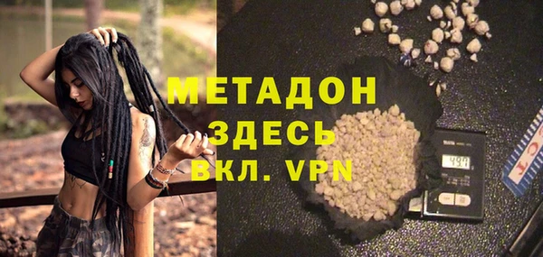индика Горняк