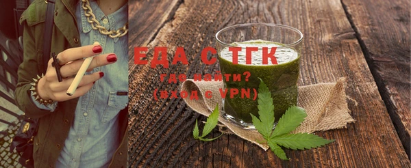 индика Горняк