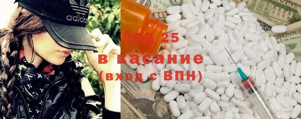 индика Горняк