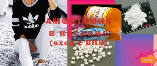 индика Горняк