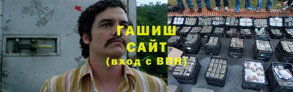 индика Горняк