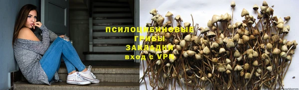 сатива Горно-Алтайск