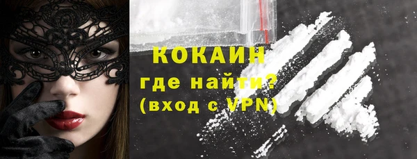 индика Горняк