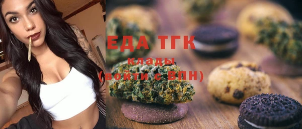 индика Горняк