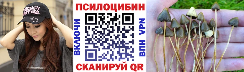 Галлюциногенные грибы прущие грибы Данилов